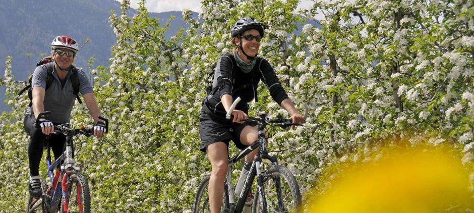 Fahrrad