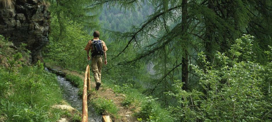 Wandern Waalweg